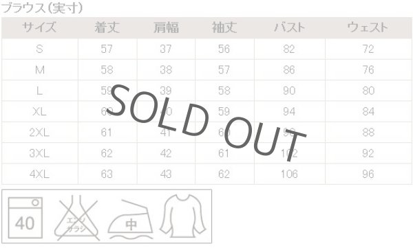画像8: 長袖ブラウス ライトブルー 1番上のボタンがない スキッパーデザイン フロッキー生地 洗濯機で洗える (8)