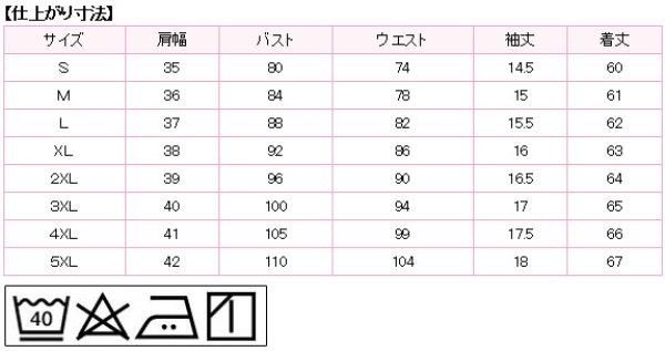 画像4: 半袖ブラウス 水色 1番上のボタンがない スキッパーデザイン 洗濯機で洗える (4)
