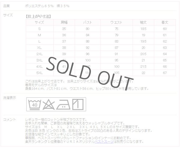 画像6: 半袖ブラウス 水色 レギュラー襟 洗濯機で洗える (6)